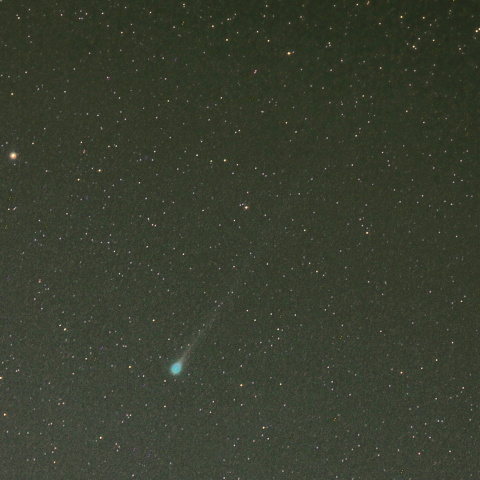 エラスムス彗星（C/2020S3）