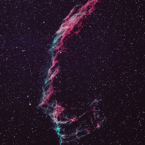 網状星雲（NGC6992）