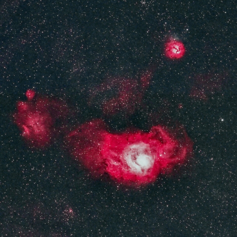 赤猫で赤猫の手