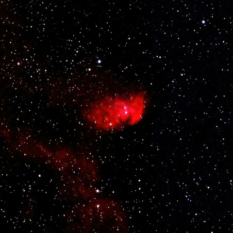 チューリップ星雲（Sh2-101）