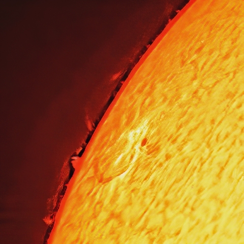 太陽（8月22日）