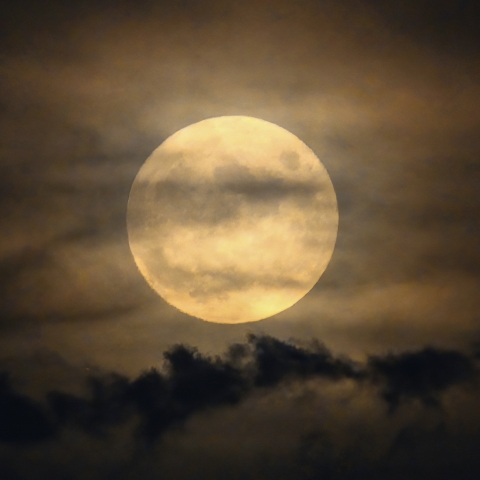 スタージャンムーン