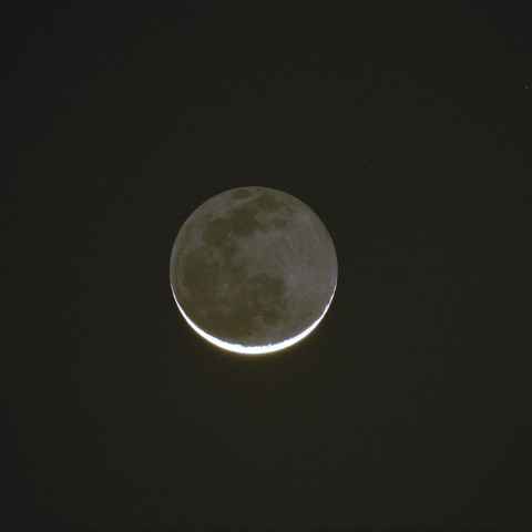 弦の水平反転？