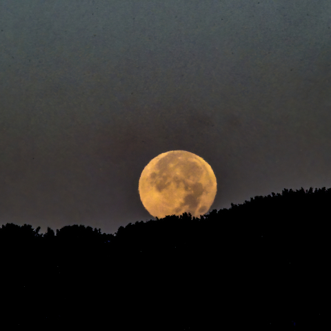 沈むビーバームーン