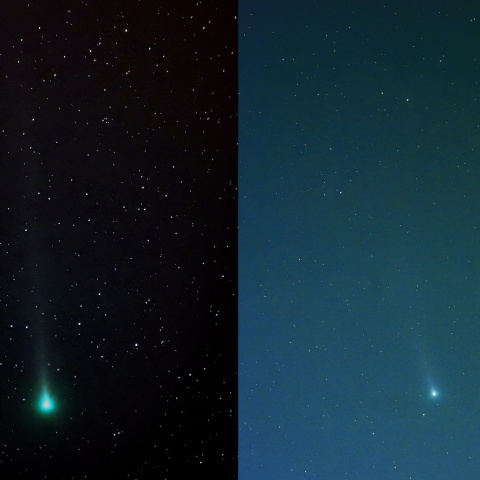 レナード彗星（C/2021 A1）