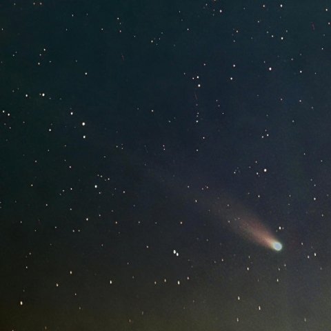 元旦のレナード彗星