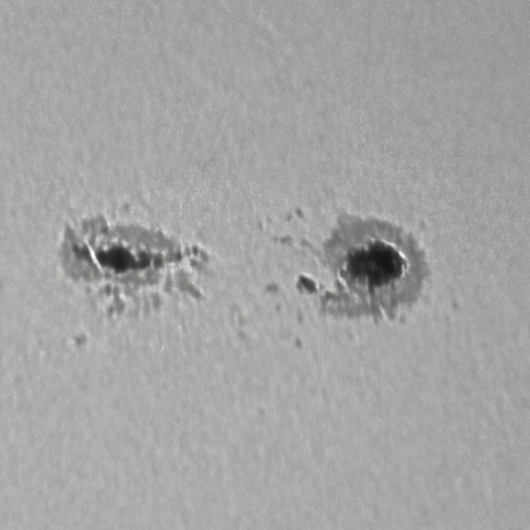 黒点（白色光）