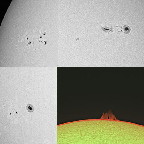 太陽（2月2日）