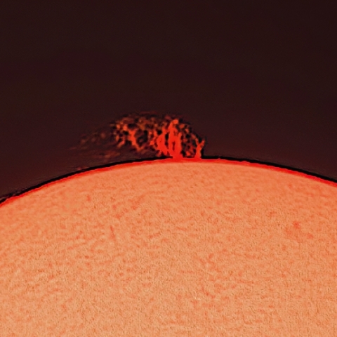 プロミネンス（2月5日）