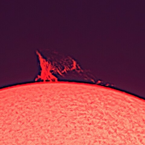 プロミネンス（2月7日）