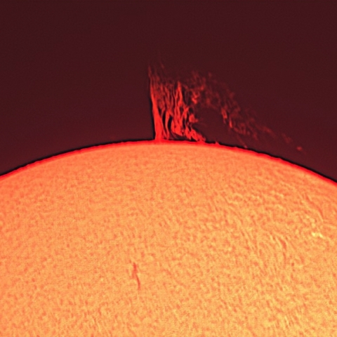 プロミネンス（2月8日）