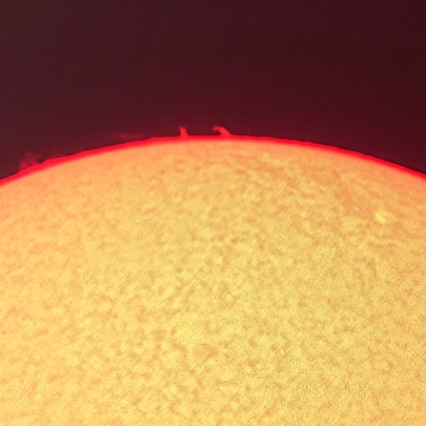 プロミネンス（2月27日）