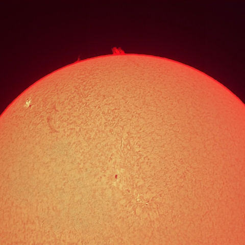 太陽（3月4日）