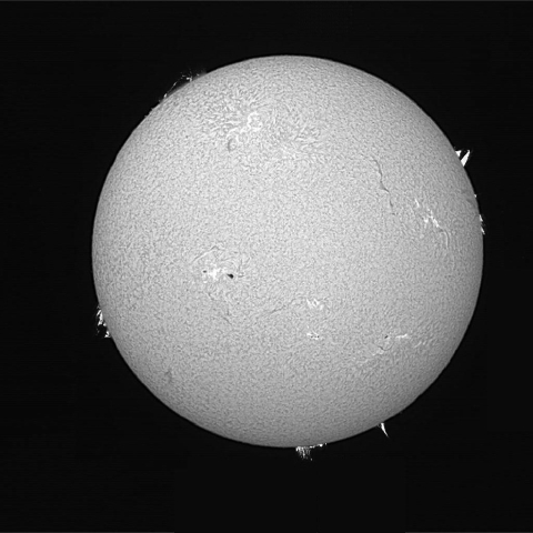 太陽面（3月8日）