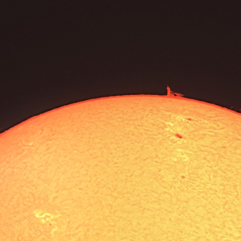 黒点とプロミネンス（3月25日）