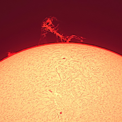 太陽面（4月28日 12:50:58）