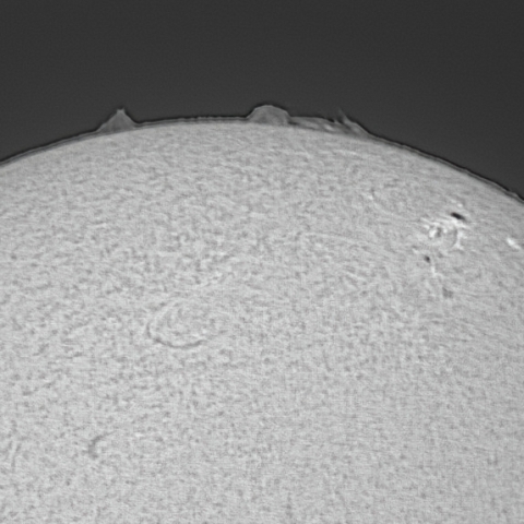 太陽面（6月25日）