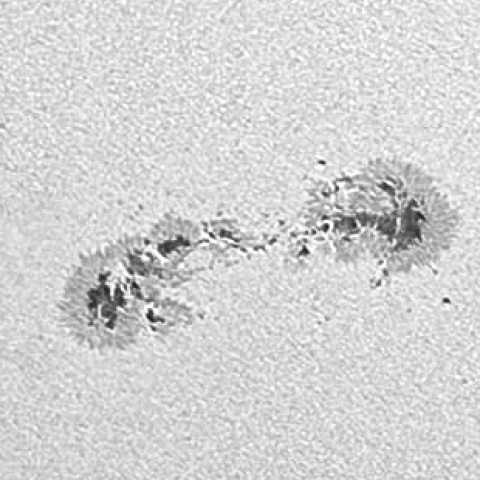 太陽黒点（7月11日）