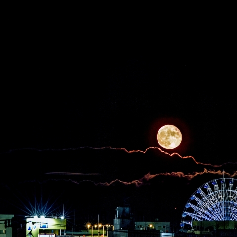 月と木星の接近