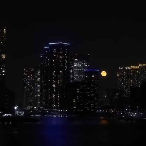 ビルの間に昇る月（月齢16）