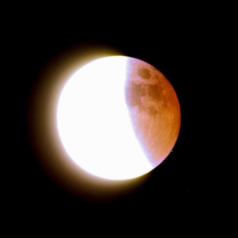 天王星食（出現）