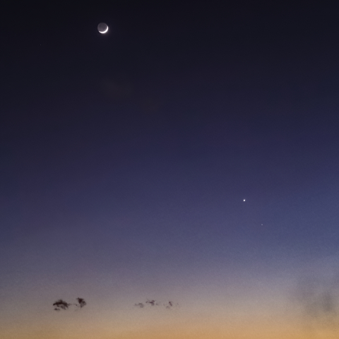 地球照と金星、土星の接近