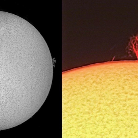 太陽面（1月29日）