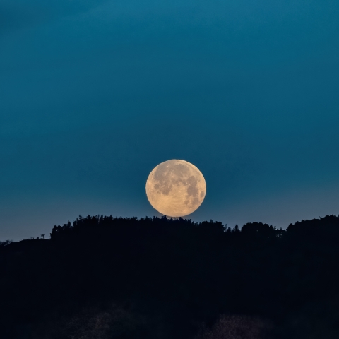 スノームーン（今年最小の月）