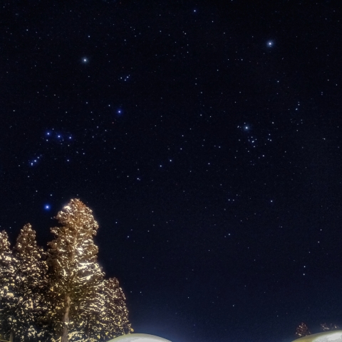 冬の星座