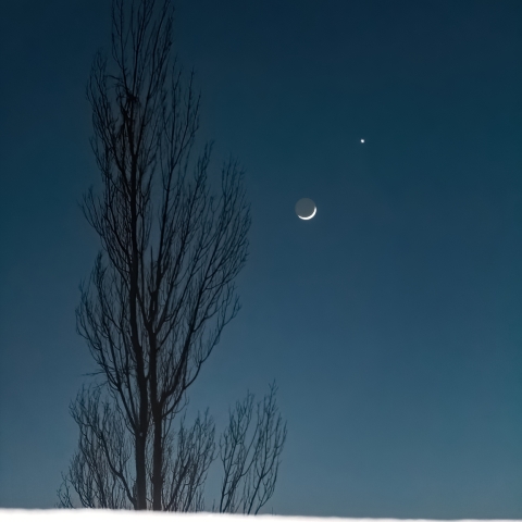 月と金星の接近