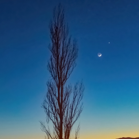 月と金星,木星の接近