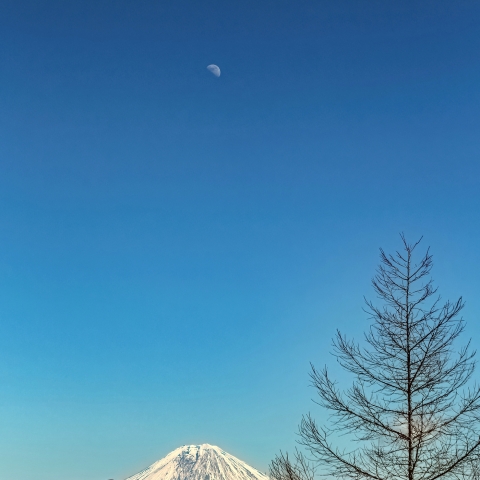 盆中富士と月