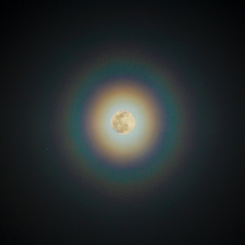 シュガームーンと花粉月光環