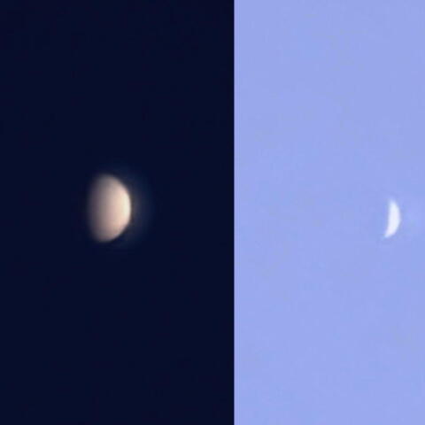 白昼の金星と水星((4月16日)