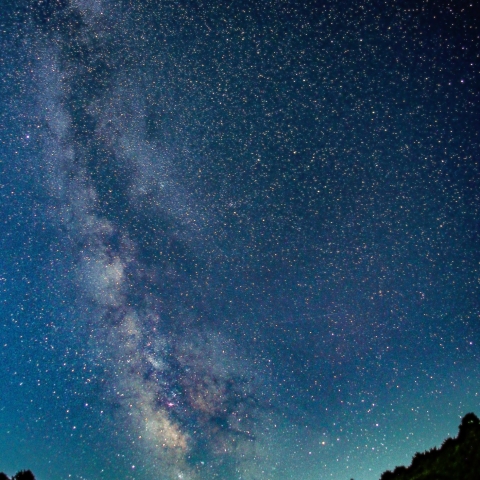 森に沈むさそり座