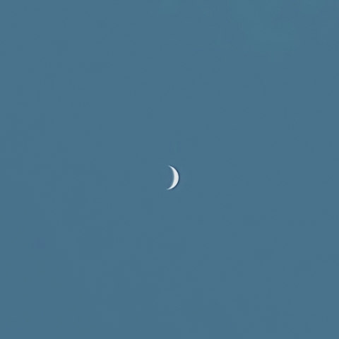 最大光度の金星（ー4.5等）