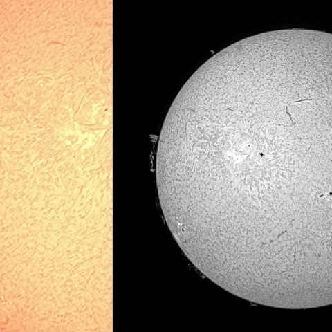太陽面（7月25日）