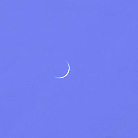 金星（8月5日）