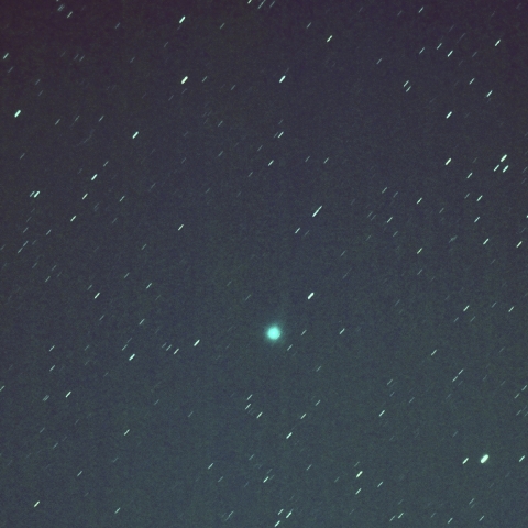 市街地からの西村彗星（C/2023P1）