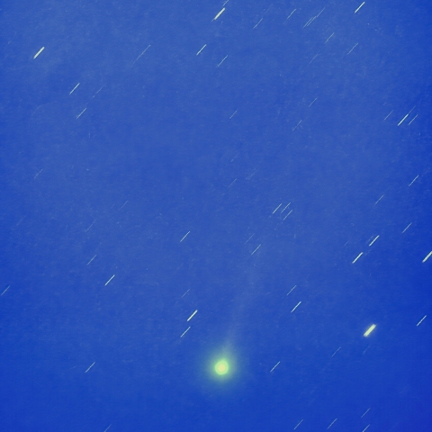 市街地からの西村彗星（C/2023 P1）