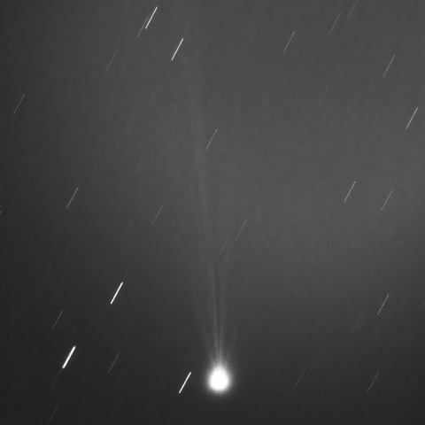 市街地からの西村彗星（核近傍）