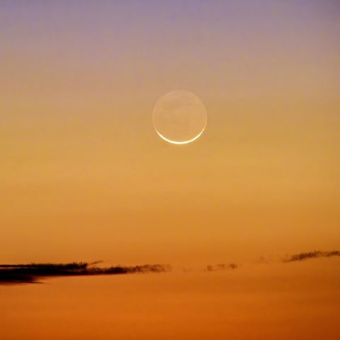 細い月（月齢28.4）