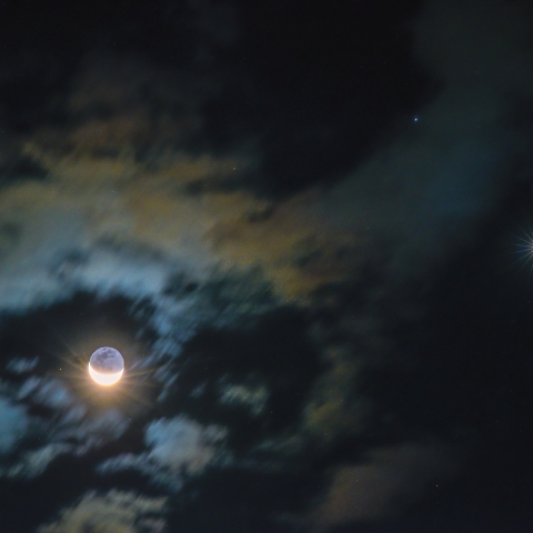 月、金星、レグルスの接近　