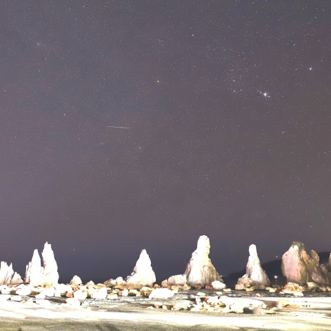 ふたご座流星群