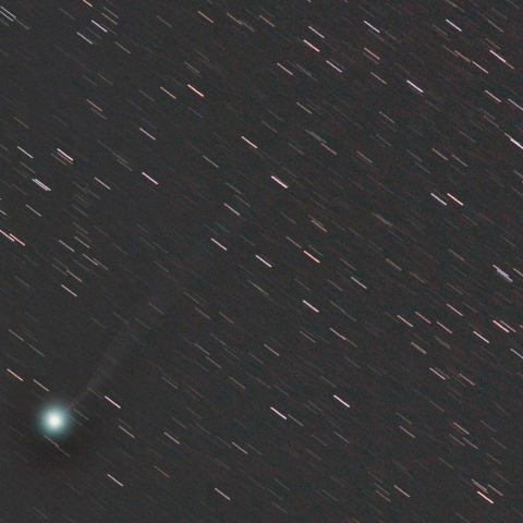 ラヴジョイ彗星　(C/2014 Q2)