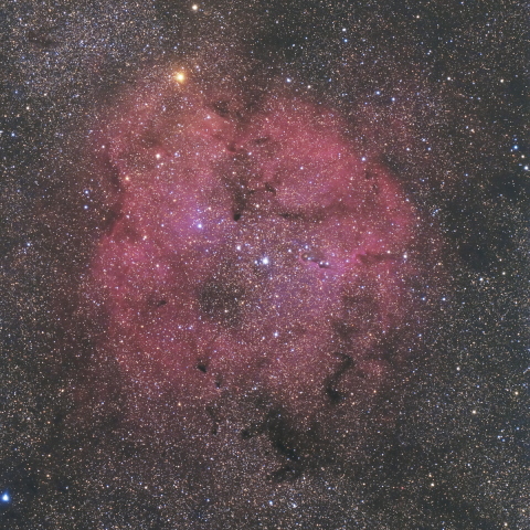 IC1396
