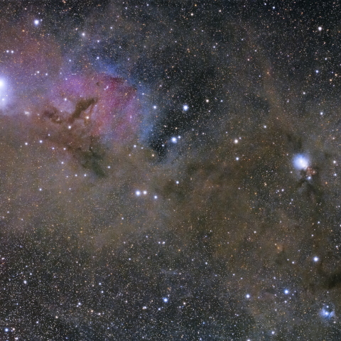 IC348・NGC1333付近