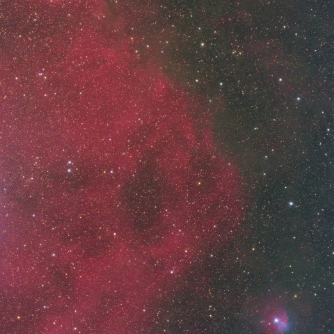 エンゼルフィッシュ・Sh2-263