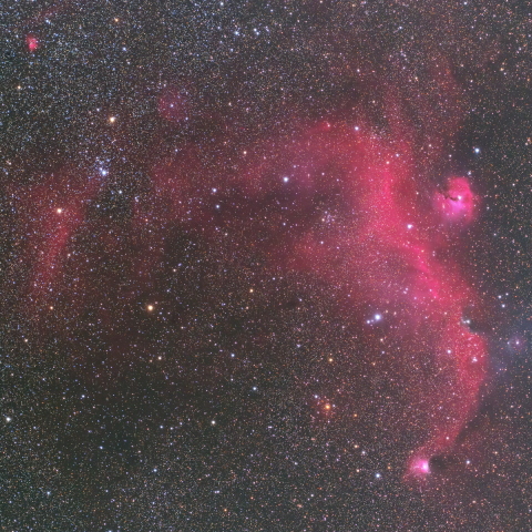 IC2177 かもめ星雲