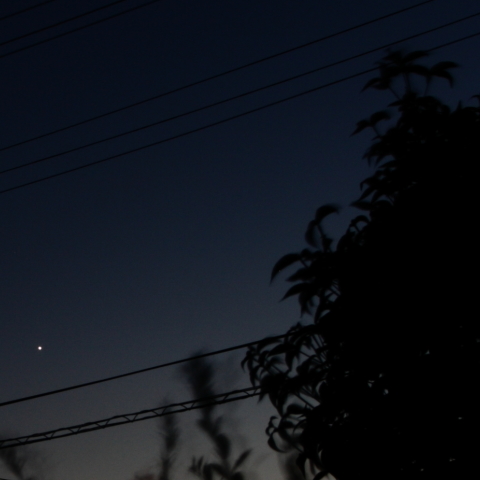宵のVenus